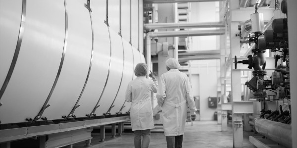 Peritajes Industriales Bellmunt del Priorat · Informes Periciales de Ingeniería